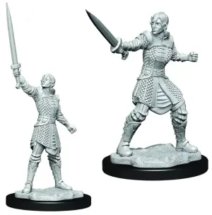 Critical Role Unpainted Miniatures Human Dwendalian Empire Fighter Female