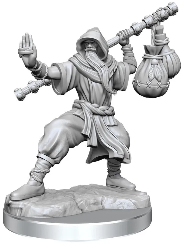D&D Frameworks Human Monk Male