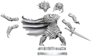 D&D Frameworks Wight