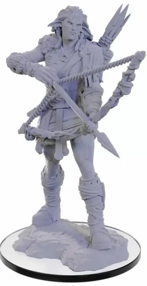 Pathfinder Deep Cuts Miniatures Wood Giant