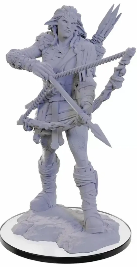 Pathfinder Deep Cuts Miniatures Wood Giant